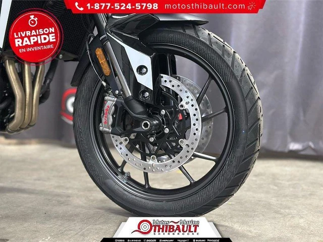 2025 Triumph, dovoz Kanada — foto 4 z 5