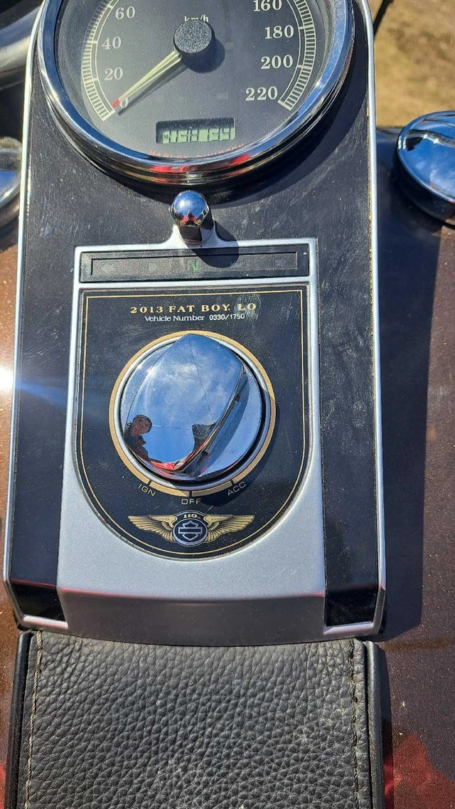 2013 Harley-Davidson, 38 000 km, dovoz Kanada — foto 3 z 5
