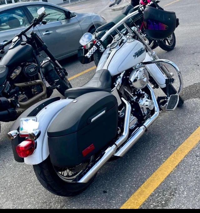 2004 Harley-Davidson, bílá, 71 000 km, dovoz Kanada — foto 2 z 5