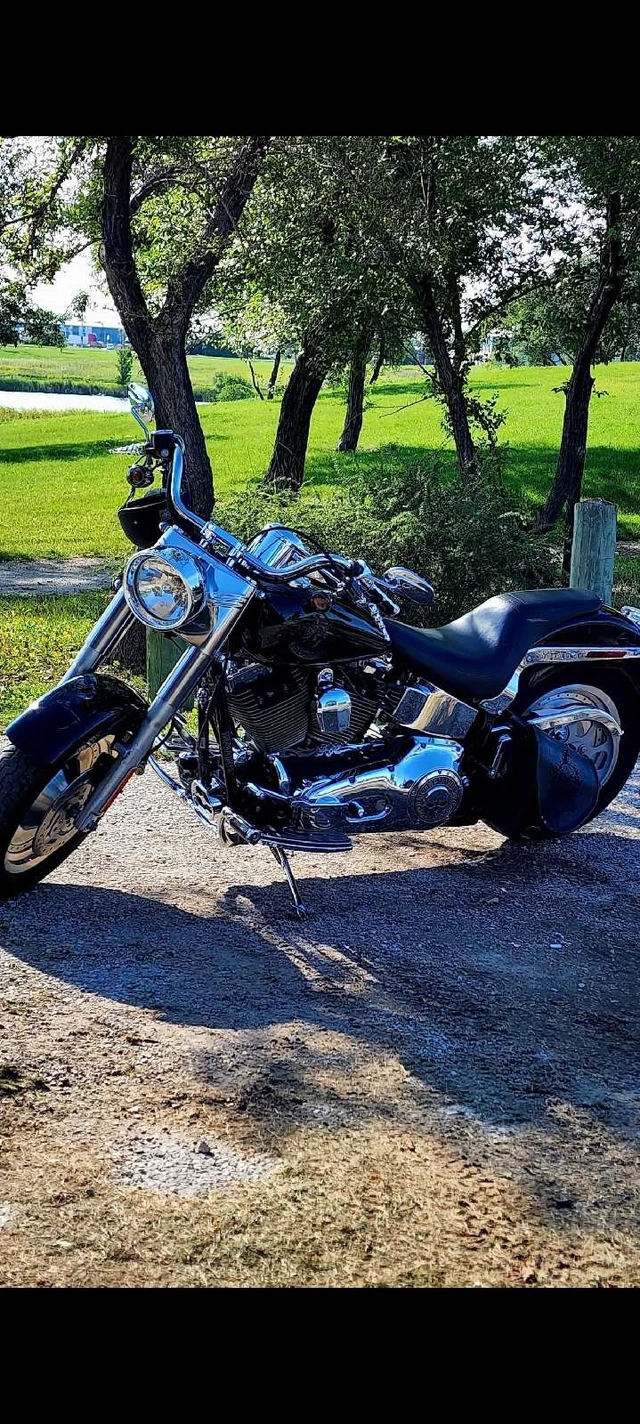 2006 Harley-Davidson, 90 000 km, dovoz Kanada — foto 2 z 4
