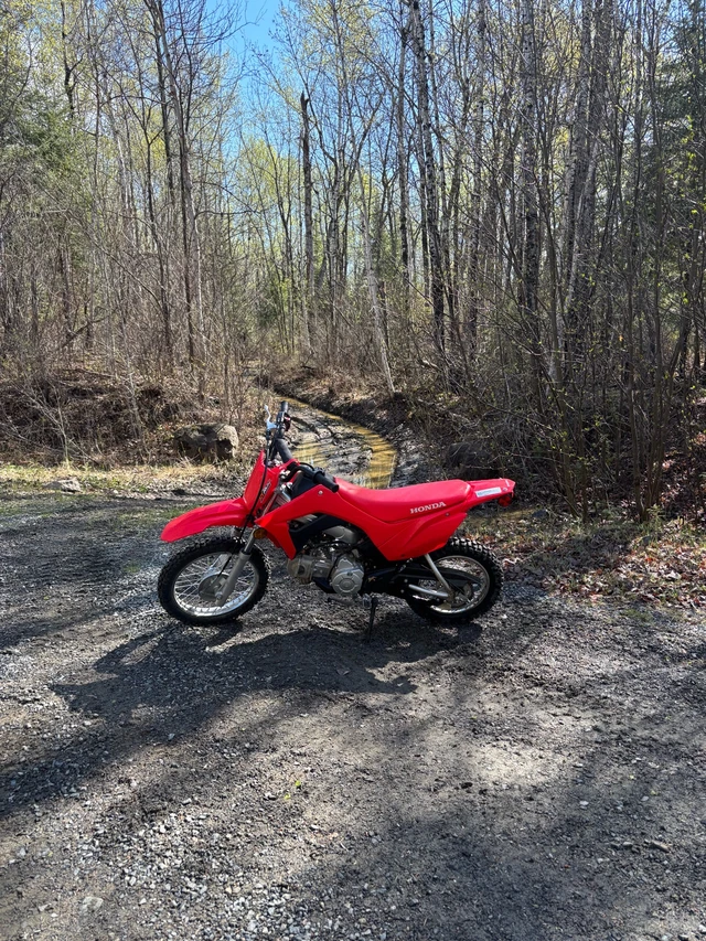 2022, 300 km, dovoz Kanada — foto 2 z 2