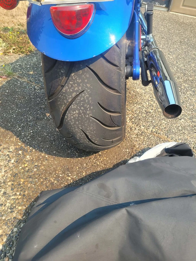 2009 Harley-Davidson, dovoz Kanada — foto 3 z 5