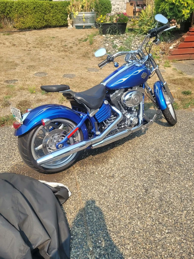 2009 Harley-Davidson, dovoz Kanada — foto 5 z 5