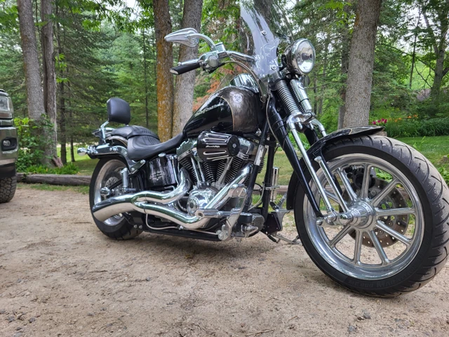 2008 Harley-Davidson, 14 000 km, dovoz Kanada — foto 4 z 5