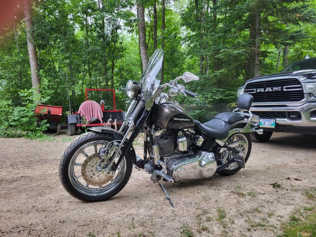 2008 Harley-Davidson, 14 000 km, dovoz Kanada — foto 5 z 5