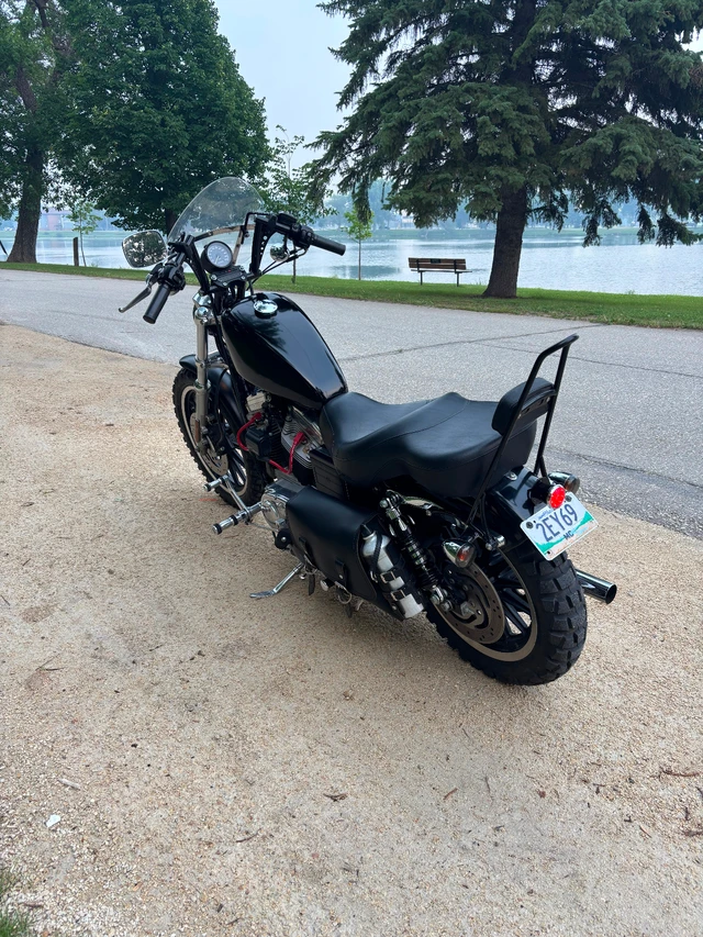 2002 Harley-Davidson, 30 000 km, dovoz Kanada — foto 2 z 5