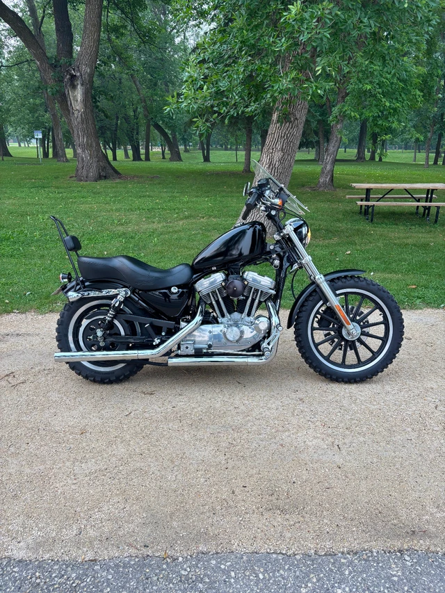 2002 Harley-Davidson, 30 000 km, dovoz Kanada — foto 3 z 5