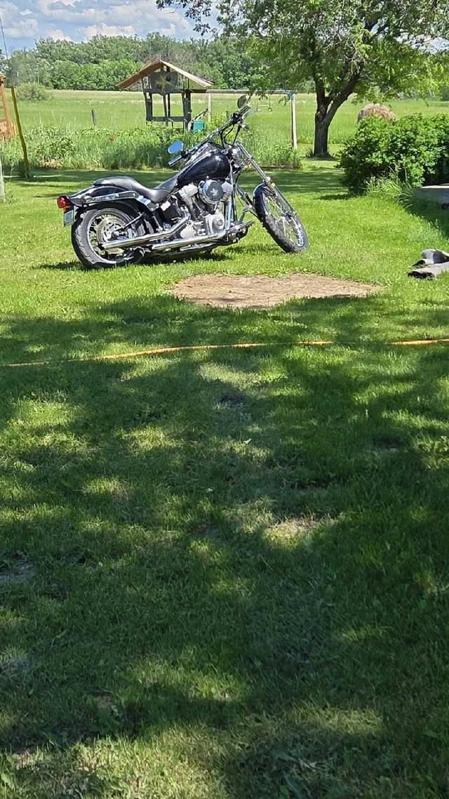 2002 Harley-Davidson, 67 000 km, dovoz Kanada — foto 2 z 5
