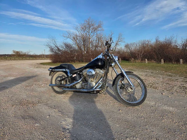 2002 Harley-Davidson, 67 000 km, dovoz Kanada — foto 5 z 5