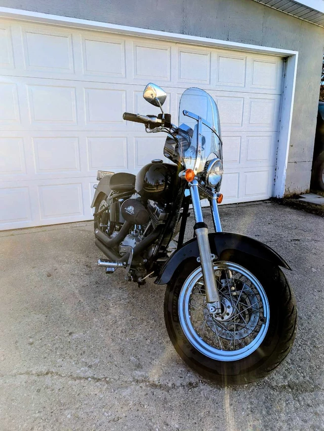 2000 Harley-Davidson, 96 000 km, dovoz Kanada — foto 5 z 5