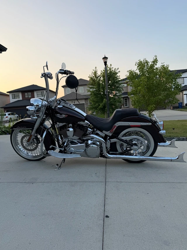 2011, 11 550 km, dovoz Kanada — foto 2 z 5