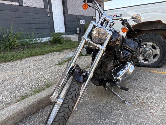 2009 Harley-Davidson, 42 000 km, dovoz Kanada — foto 3 z 4