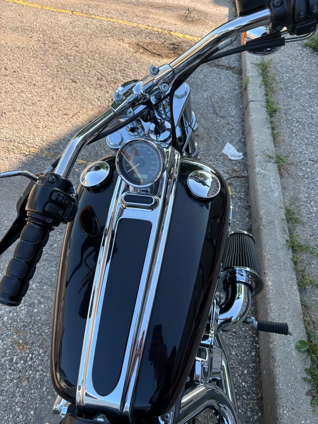 2009 Harley-Davidson, 42 000 km, dovoz Kanada — foto 4 z 4