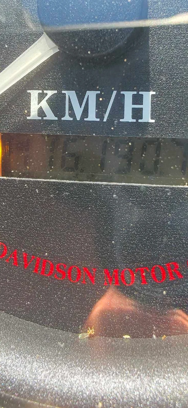 1998 Harley-Davidson, 176 190 km, dovoz Kanada — foto 2 z 5