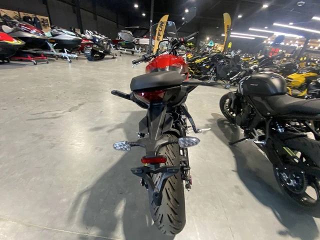 2023 Triumph, dovoz Kanada — foto 4 z 5