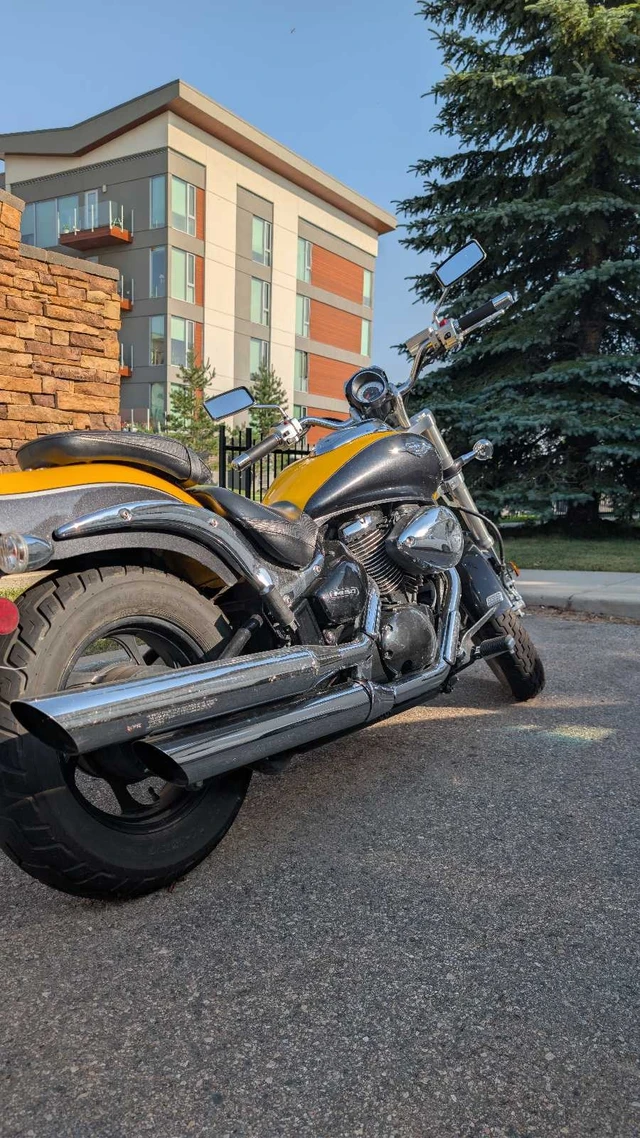 2008 Suzuki, 6 100 km, dovoz Kanada — foto 4 z 4