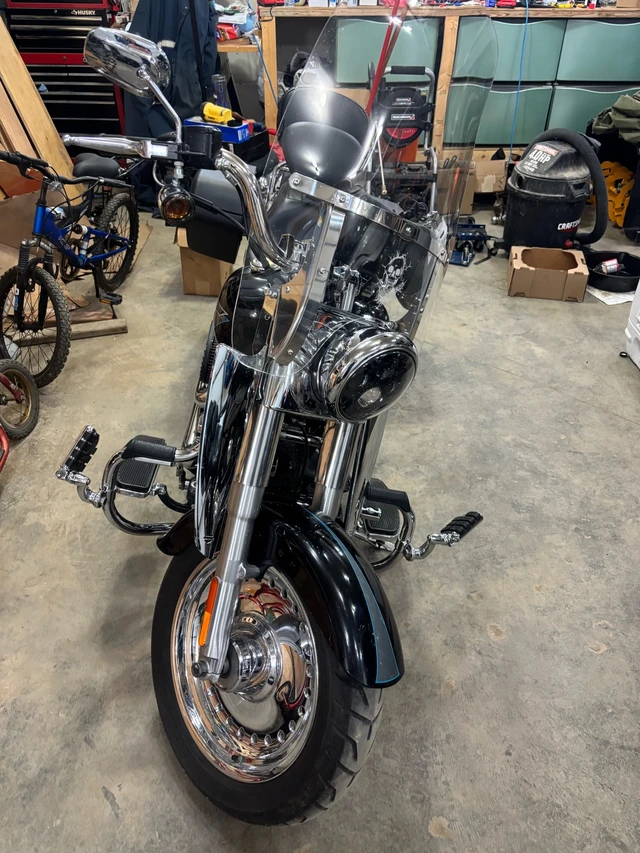 2009 Harley-Davidson, 6 508 km, dovoz Kanada — foto 3 z 5