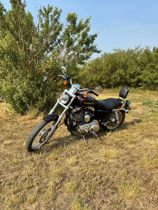 2005 Harley-Davidson, 8 220 km, dovoz Kanada — foto 2 z 5