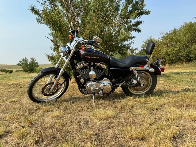 2005 Harley-Davidson, 8 220 km, dovoz Kanada — foto 3 z 5