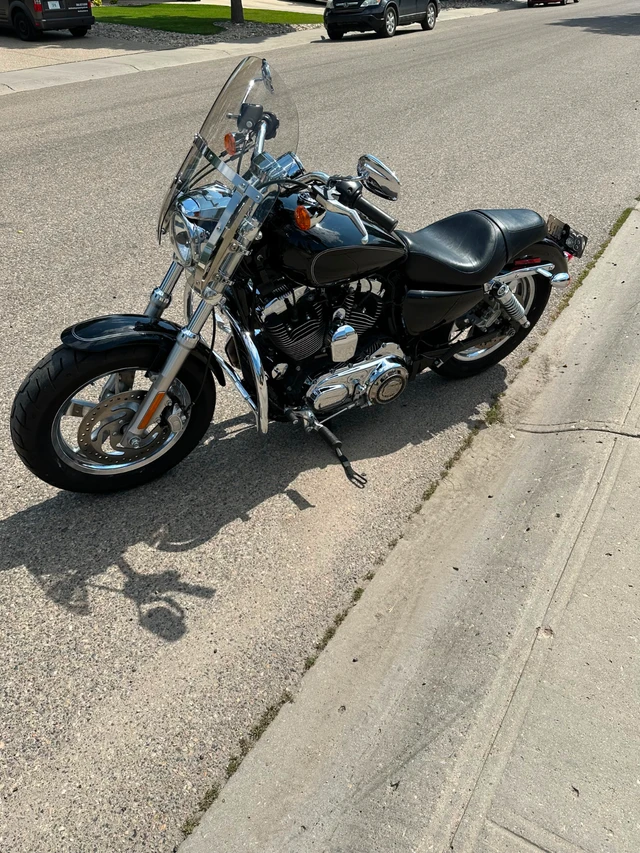 2014, 12 790 km, dovoz Kanada — foto 5 z 5