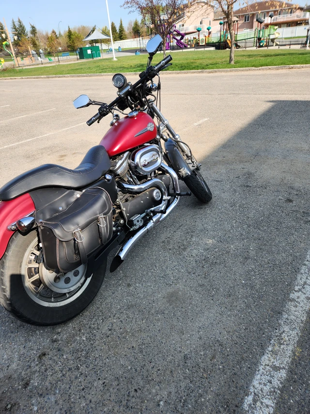 2003 Harley-Davidson, 33 000 km, dovoz Kanada — foto 5 z 5