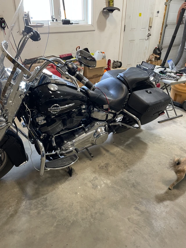 2020 Harley-Davidson, 20 110 km, dovoz Kanada — foto 2 z 5