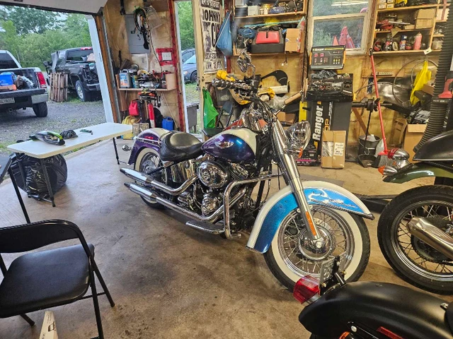 2010, 27 241 km, dovoz Kanada — foto 4 z 5