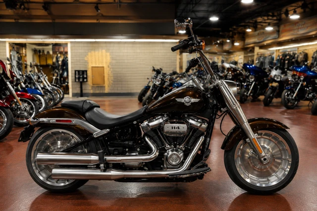 2019 Harley-Davidson, 10 500 km, dovoz Kanada — foto 2 z 5