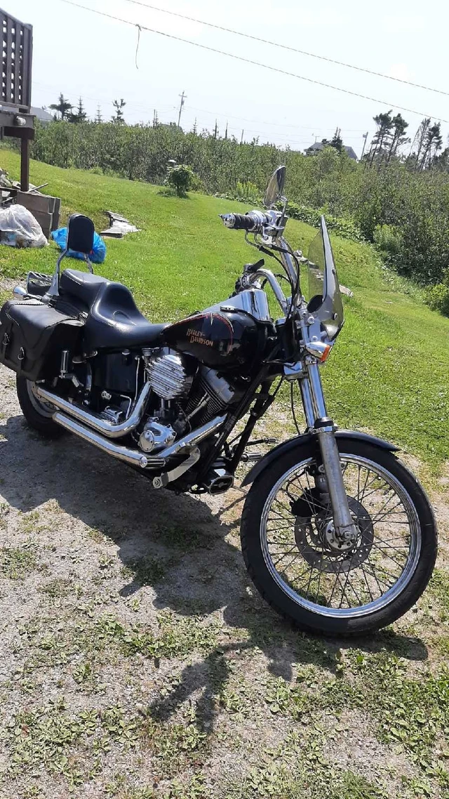 2004 Harley-Davidson, 70 km, dovoz Kanada — foto 4 z 5