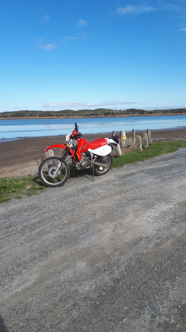 2016, 12 787 km, dovoz Kanada — foto 2 z 2