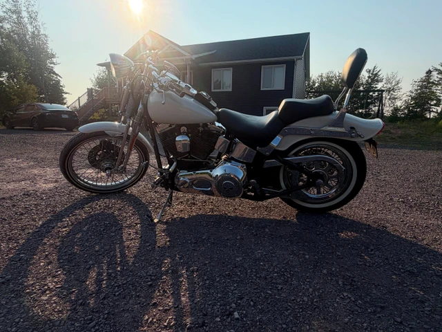 2001 Harley-Davidson, 31 200 km, dovoz Kanada — foto 4 z 4