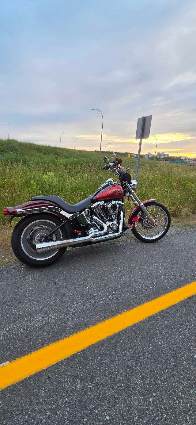 2008 Harley-Davidson, 43 000 km, dovoz Kanada — foto 3 z 5