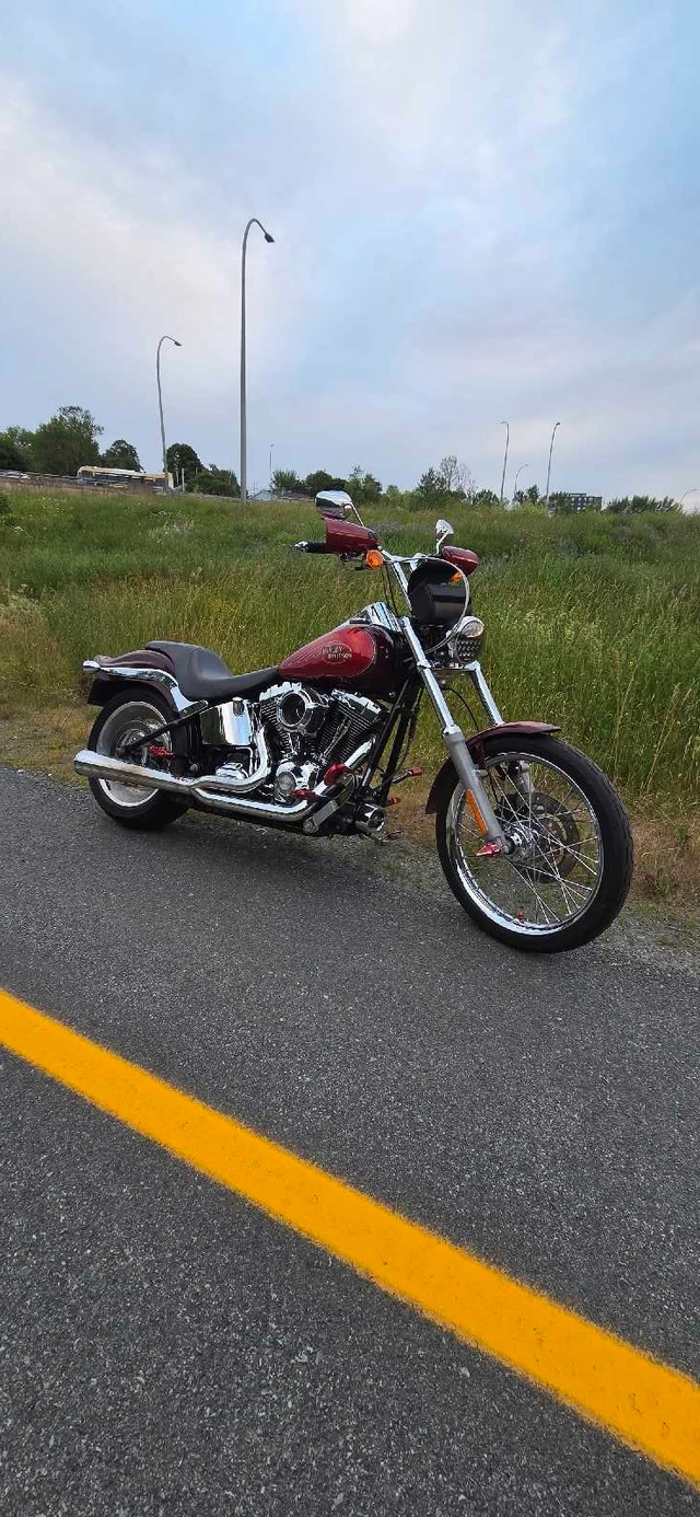 2008 Harley-Davidson, 43 000 km, dovoz Kanada — foto 4 z 5