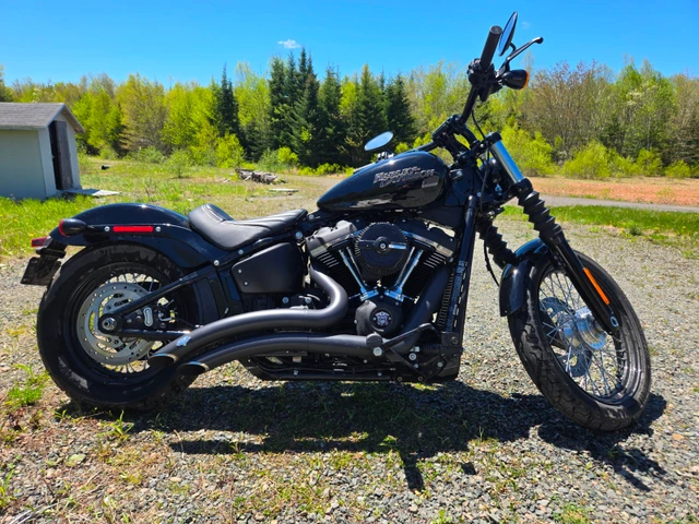 2019 Harley-Davidson, 2 800 km, dovoz Kanada — foto 2 z 5