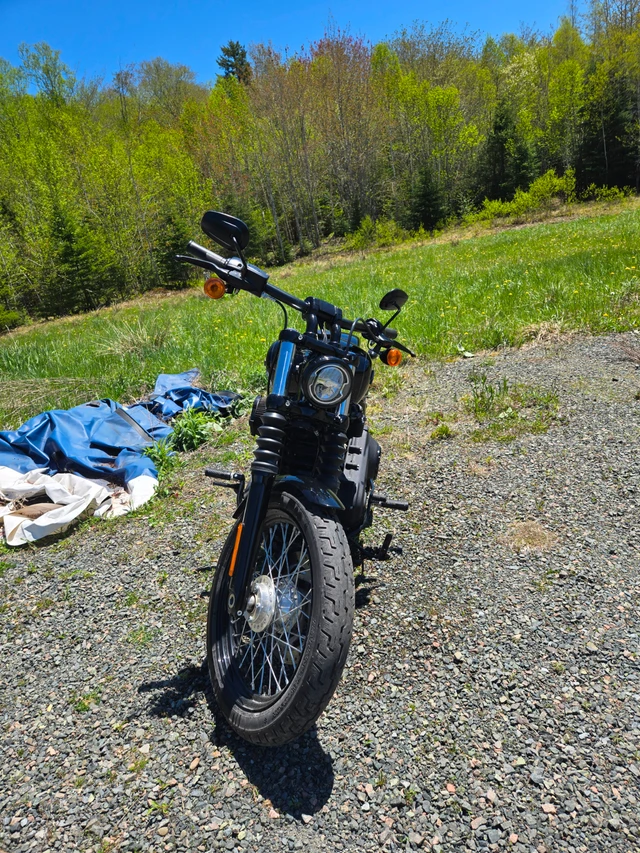 2019 Harley-Davidson, 2 800 km, dovoz Kanada — foto 3 z 5