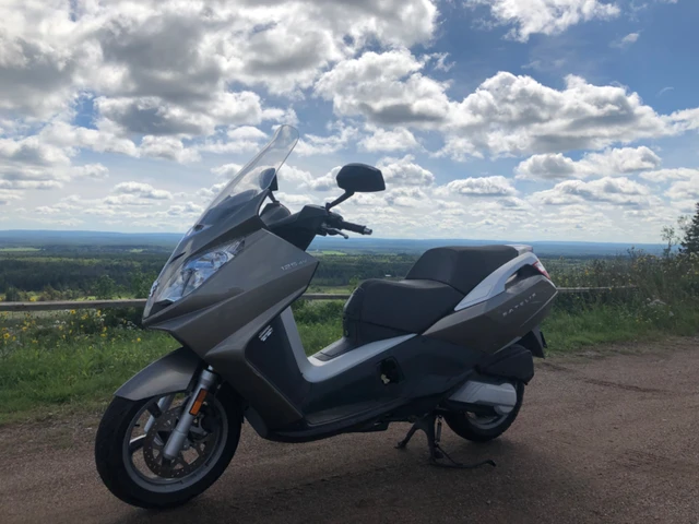2009, 2 900 km, dovoz Kanada — foto 2 z 5
