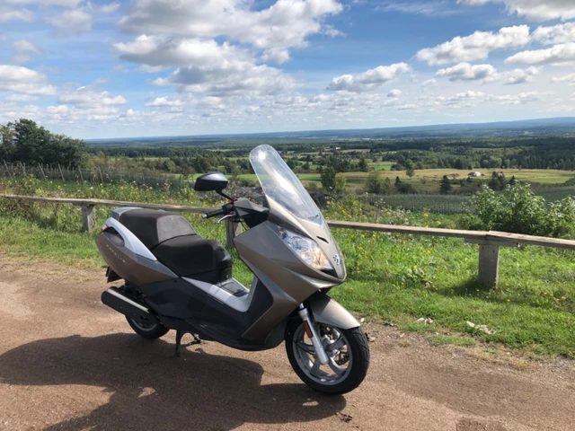 2009, 2 900 km, dovoz Kanada — foto 5 z 5