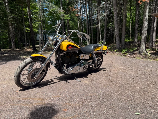 1995 Harley-Davidson, 30 000 km, dovoz Kanada — foto 2 z 5
