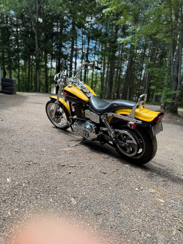 1995 Harley-Davidson, 30 000 km, dovoz Kanada — foto 4 z 5
