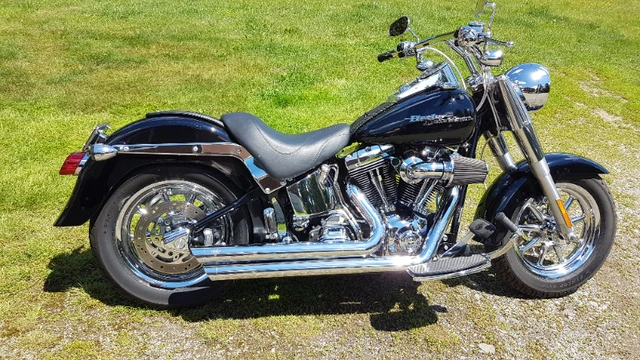 2006 Harley-Davidson, 16 930 km, dovoz Kanada — foto 2 z 5