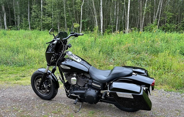 2009 Harley-Davidson, 103 208 km, dovoz Kanada — foto 3 z 5