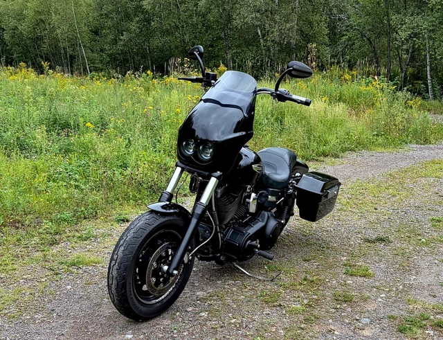 2009 Harley-Davidson, 103 208 km, dovoz Kanada — foto 4 z 5