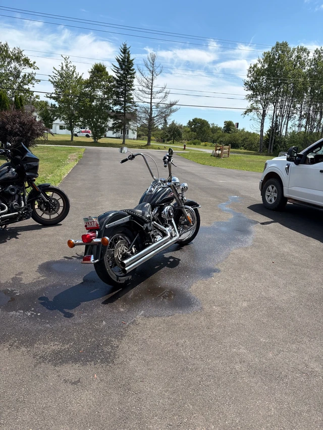 2008 Harley-Davidson, 45 721 km, dovoz Kanada — foto 4 z 5