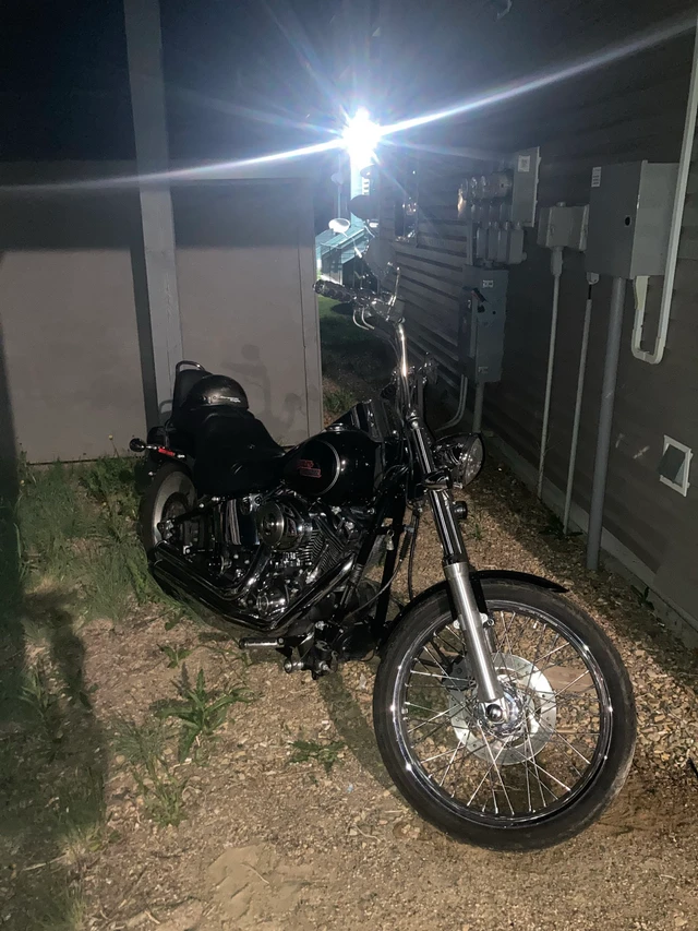 2007 Harley-Davidson, 19 000 km, dovoz Kanada — foto 3 z 3