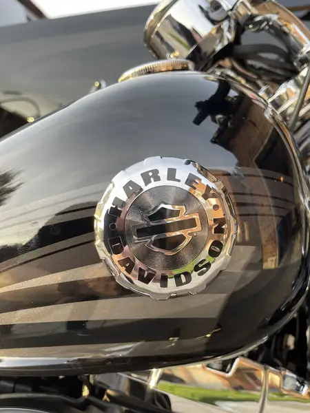 2017 Harley-Davidson Breakout, 816 km, dovoz Kanada — foto 6 z 9