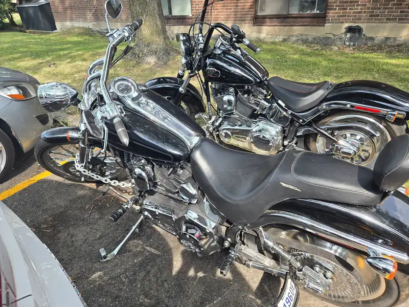 2007 Harley-Davidson Softail Fxstc/fxstd, černá, 34 002 km, dovoz Kanada — foto 2 z 4