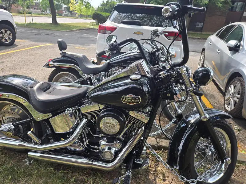 2007 Harley-Davidson Softail Fxstc/fxstd, černá, 34 002 km, dovoz Kanada — foto 4 z 4