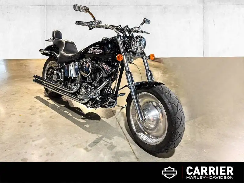 2001 Harley-Davidson Unspecified FXSTD, 33 185 km, dovoz Kanada — foto 2 z 12