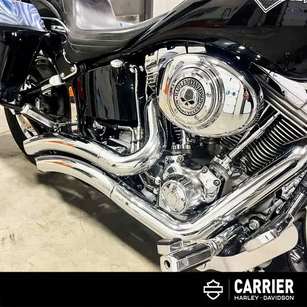 2000 Harley-Davidson Unspecified FXST, 132 456 km, dovoz Kanada — foto 9 z 12