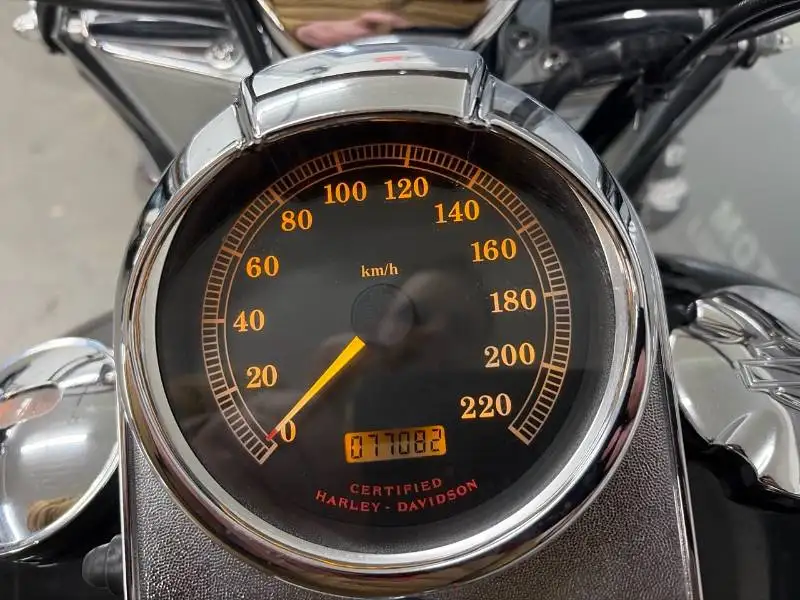 2003 Harley-Davidson FL, 77 082 km, dovoz Kanada — foto 12 z 12